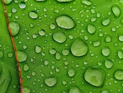 Powerful Technique To Reduce Stress