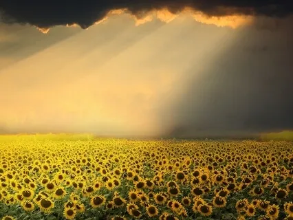 Powerful Tinnitus Sound Therapy