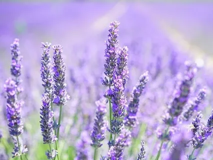 Powerful Visualisation Exercise To Relieve Anxiety