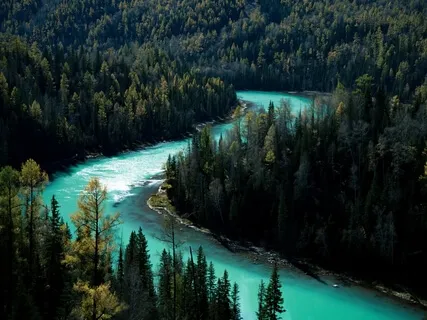 Powertalk - Forward Motion