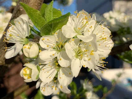 Powróć do siebie - Medytacja kiedy czujesz się zagubiony