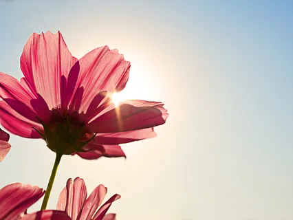 Pràctica Per Iniciar-se en la Meditació