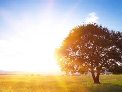 Practical Advice For Your Morning  