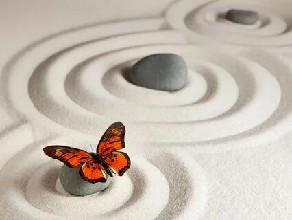 Practical Guidance For Healers & Lightworkers