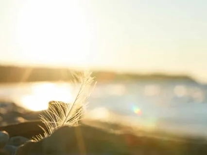 Practical Magic For Mental Health: Your Morning Ritual