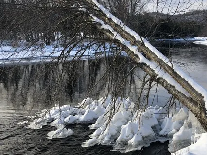 Breathing Into Wholeness: A Meditation On Interconnection