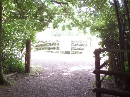 Practical Tools To Managing Trauma In Everyday Life