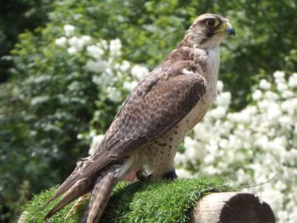 Practical Ways To Releasing Mental Stress