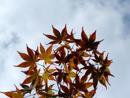 Practice 02 - Observation: Experience As It Is