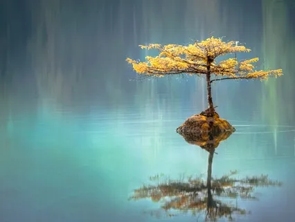 Practice Being ApE (3)