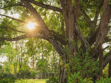 Practice Conscious & Creative Breathing