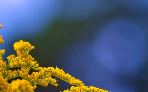 Practice Doesn't Necessarily Make Perfect