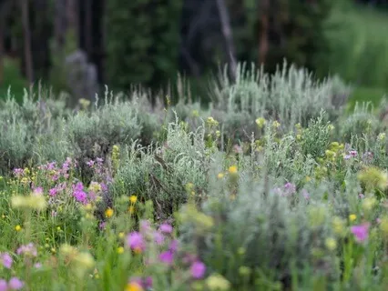 Practice For Patience