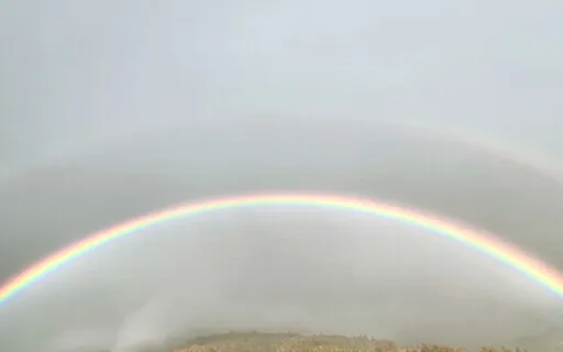 Practice Kindness When Flying