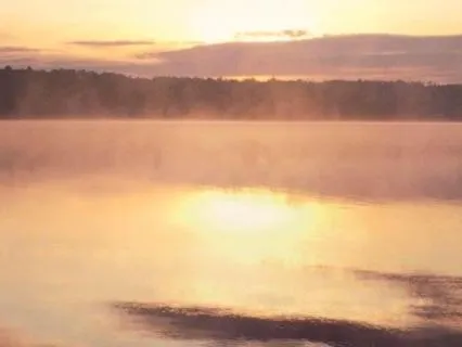 Practice Of Being Present