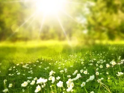 Practice Of Kindness & Care