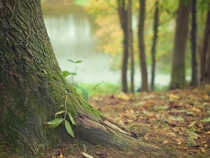 Practice Of Presence