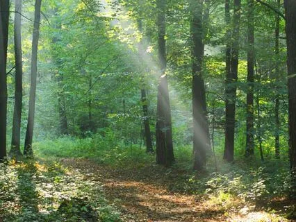 Practice Of Returning Series: When Stillness Feels Unsafe