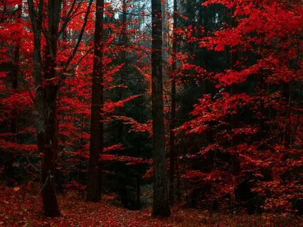 Practice Power Of Positivity (Long Version)