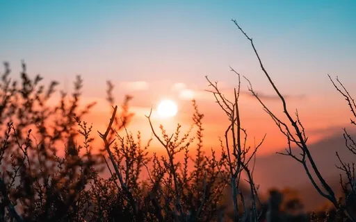 Practice S.A.F.E - Guided Meditation For Stress