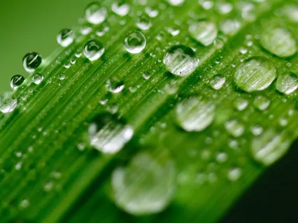 Practice Saying No & Heal Your Hurting Parts