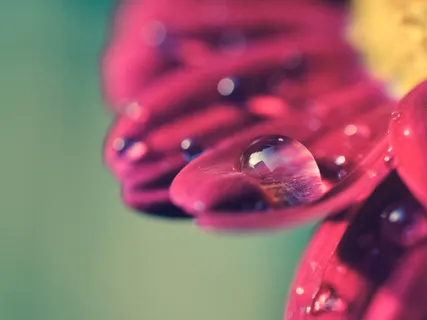 Practice To Find The Answers Within