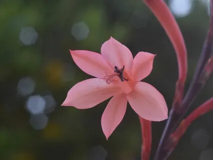 Heal Relationships With The Higher Self: A Guided Practice