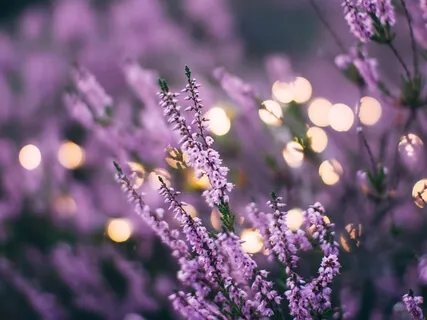 Empath Awareness And Practice Understanding Clairsentience