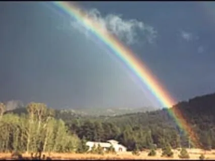 Practices for Supporting Preferences & Experiencing Impermanence