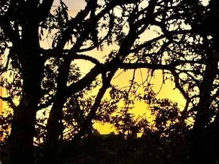 Practicing A Mindful Self-Compassion Break