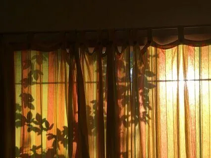 Practicing Acceptance & Surrender Inside PEM