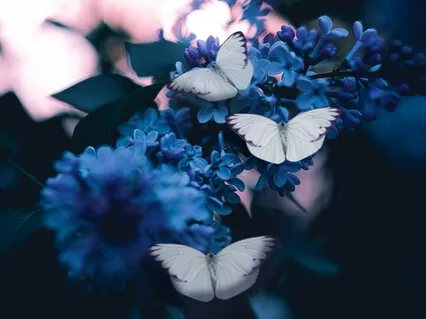 Practicing Awareness