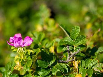 Practicing Awareness