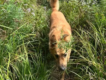 Practicing Beginner's Mind