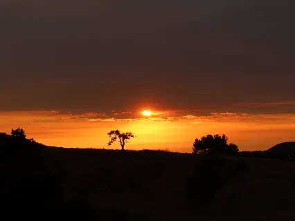 Practicing Chakra Dyana Short Version