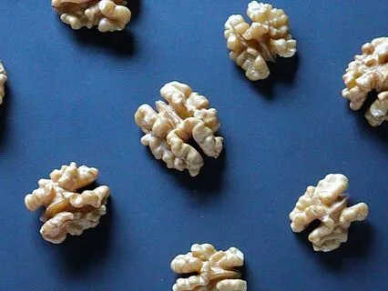 Embracing All Kinds Of Minds