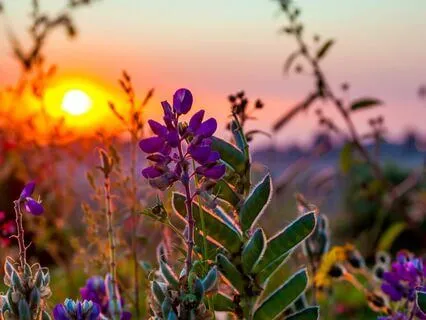 Practicing Courage - An Embodied Movement Journey