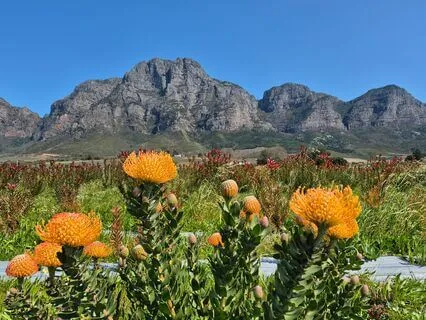 Practicing Embodied Awareness