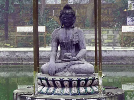 Practicing Forgiveness