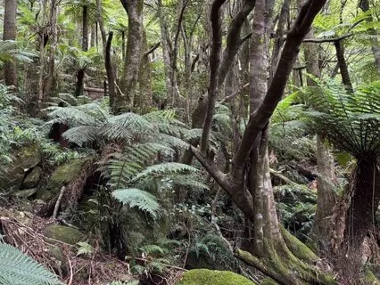 Practicing Interbeing And Interconnection