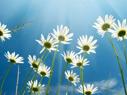 Practicing Loving-Kindness 