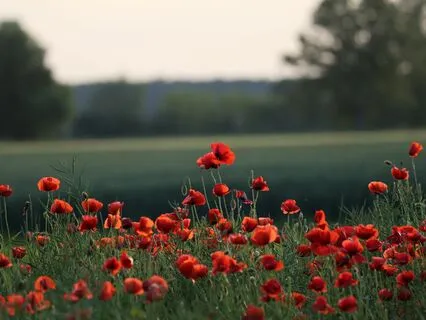 Practicing Mindful Speech And Communication