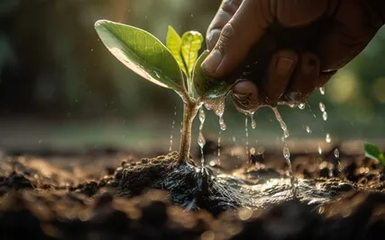 Practicing Patience (Khanti Parami)