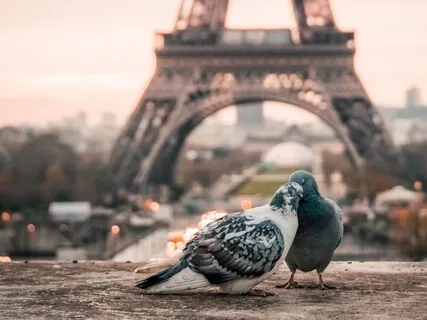 Practicing Peace In Close Quarters During Quarantine