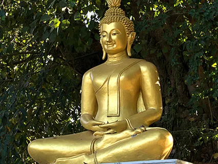 Practicing Presence, Practicing Compassion