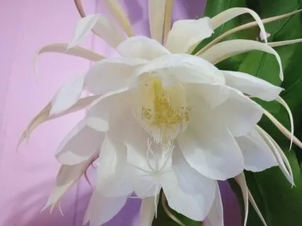 Practicing Presence To Overcome Anxiety