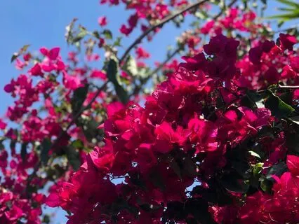 Practicing Self-Compassion