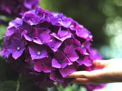 Practicing Self-Compassion