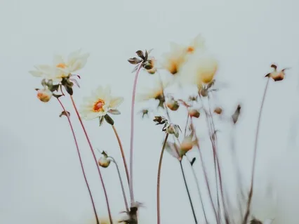 Practicing Self-Kindness 