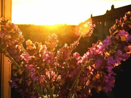 Practicing Self-Regulation